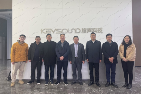 上海張江集團、中國電子音響行業協會領導、專家訪問旗聲科技